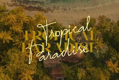 Tropical Paradise   Font Duo
