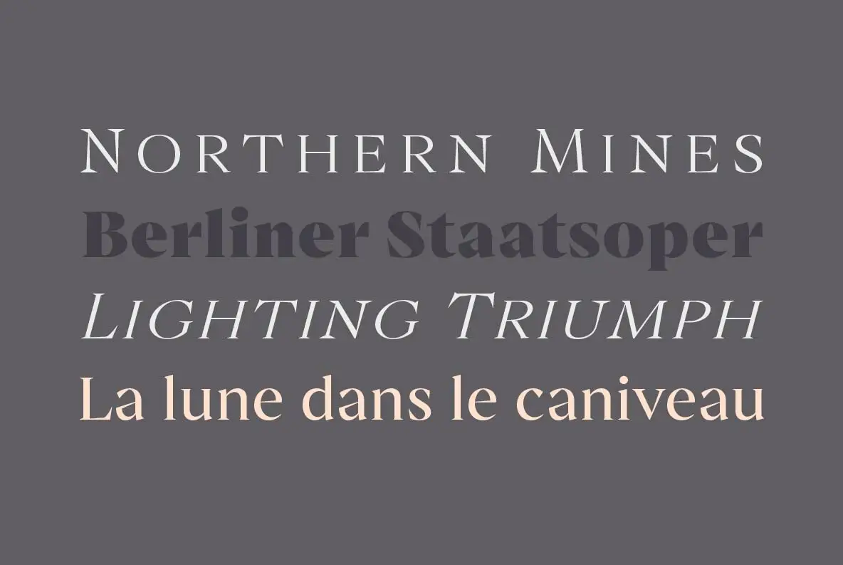 Archeron Pro Font YouWorkForThem