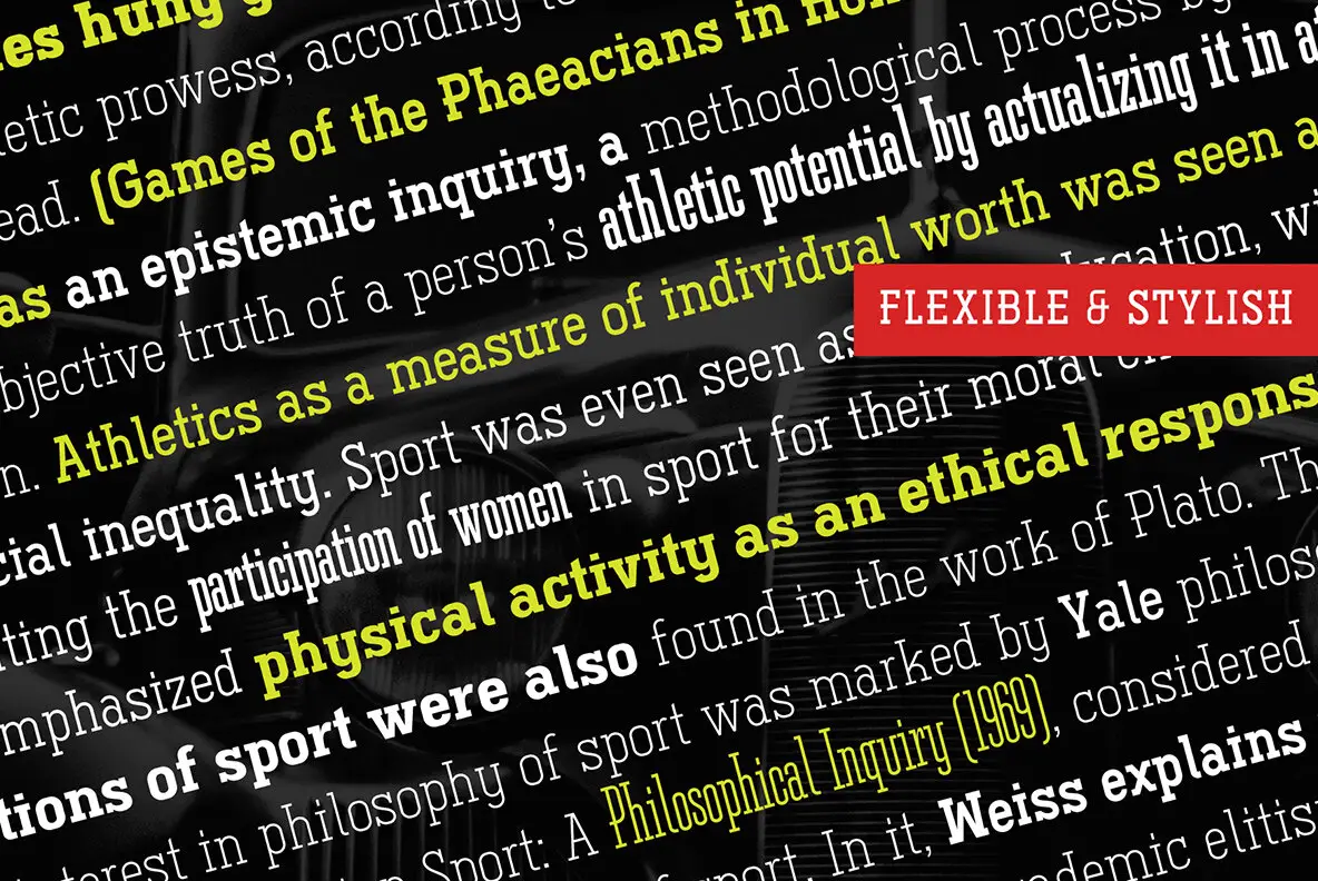 Ferguson Font - FontPath