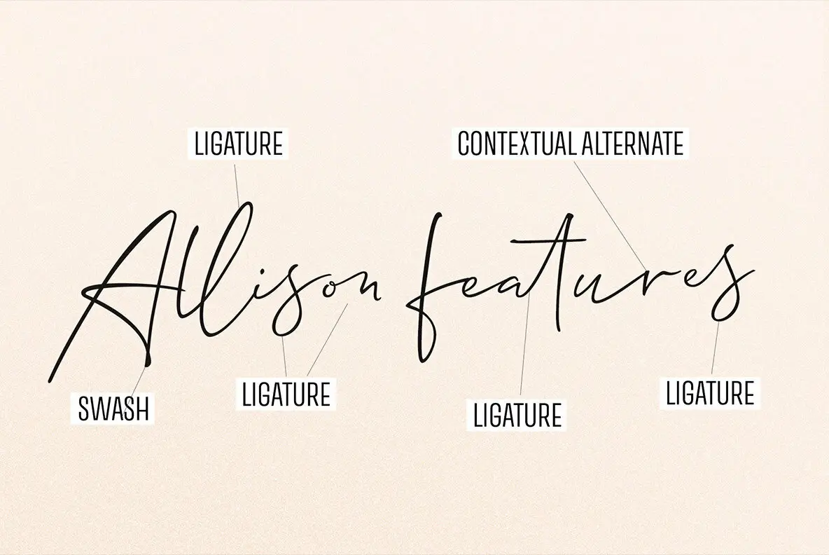 Allison Script Font - YouWorkForThem