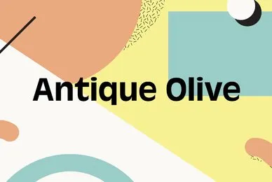 Antique Olive