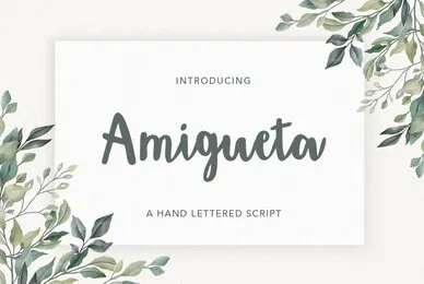 Amigueta Script