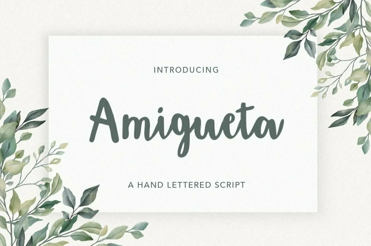 Amigueta Script