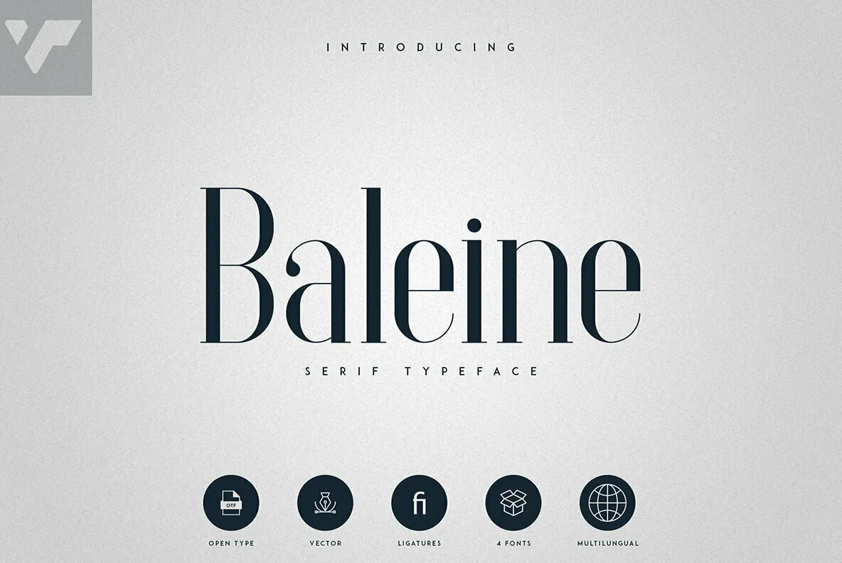 Baleine