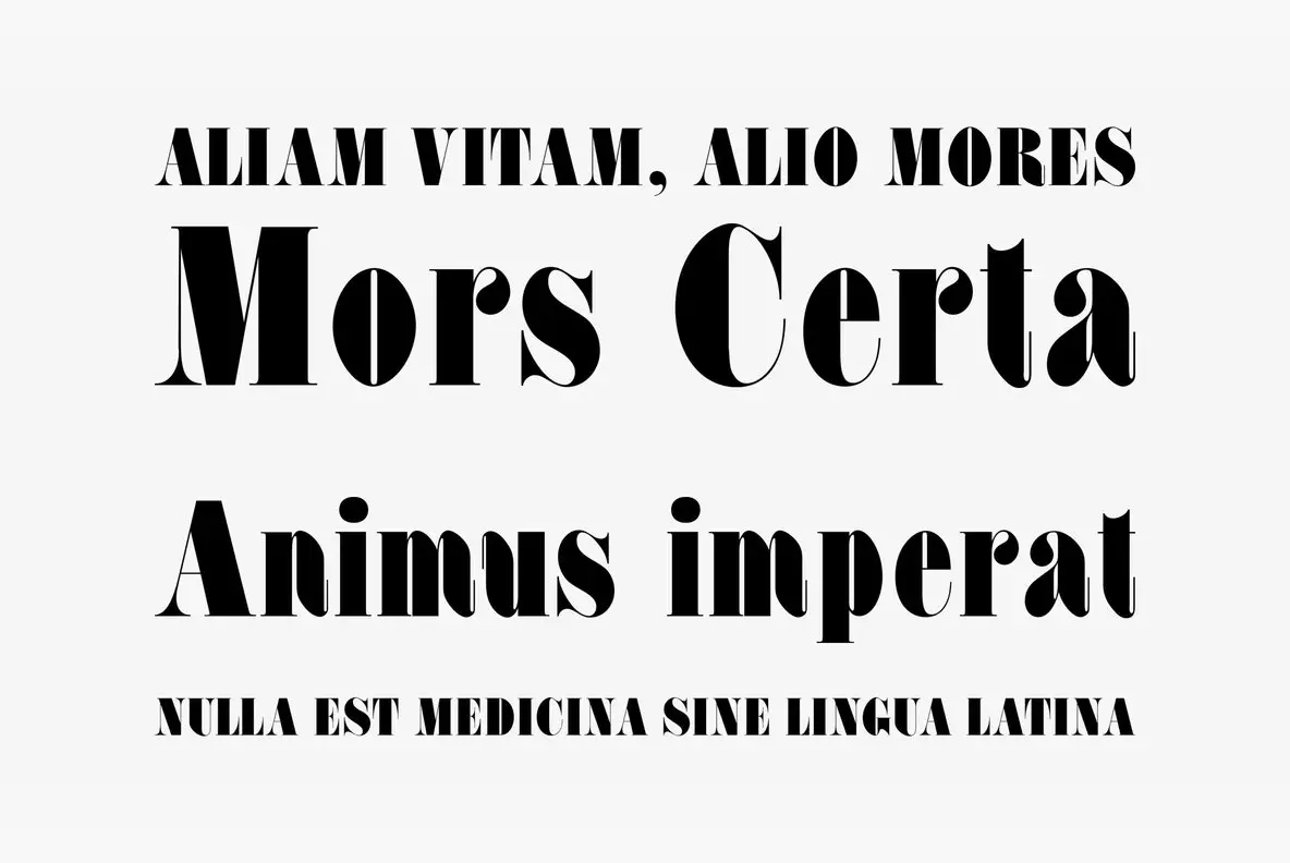 Fat Face Font YouWorkForThem