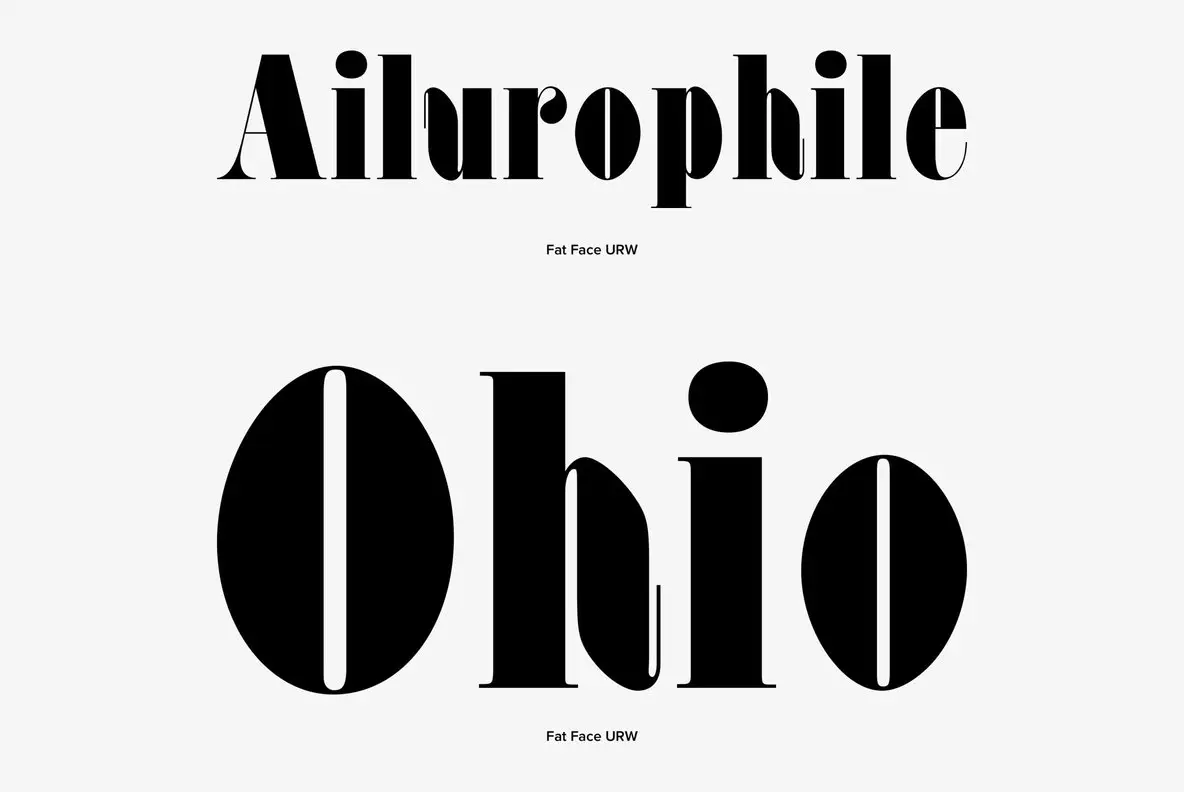 Fat Face Font YouWorkForThem