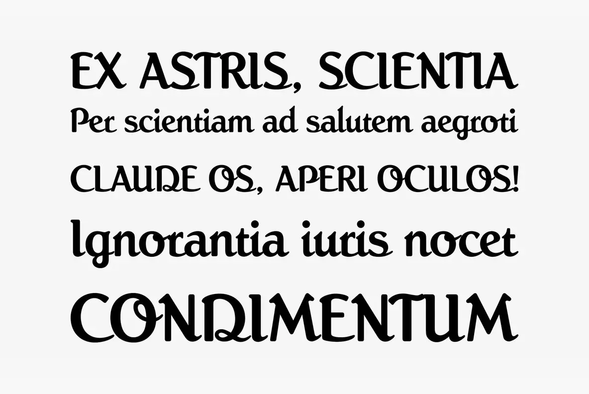 Roman Modified Script Roman Script Font - Fontpath