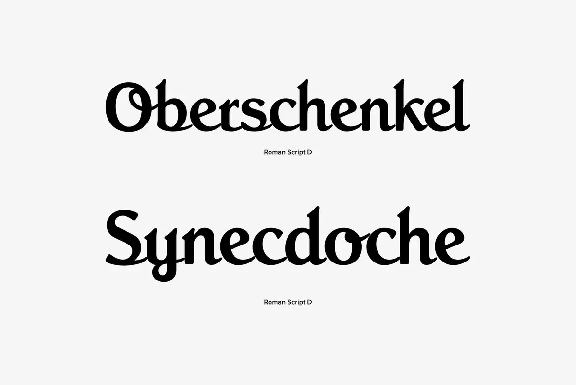 Roman Modified Script Roman Script Font - Fontpath