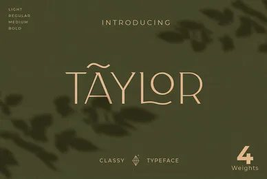 Taylor Typeface