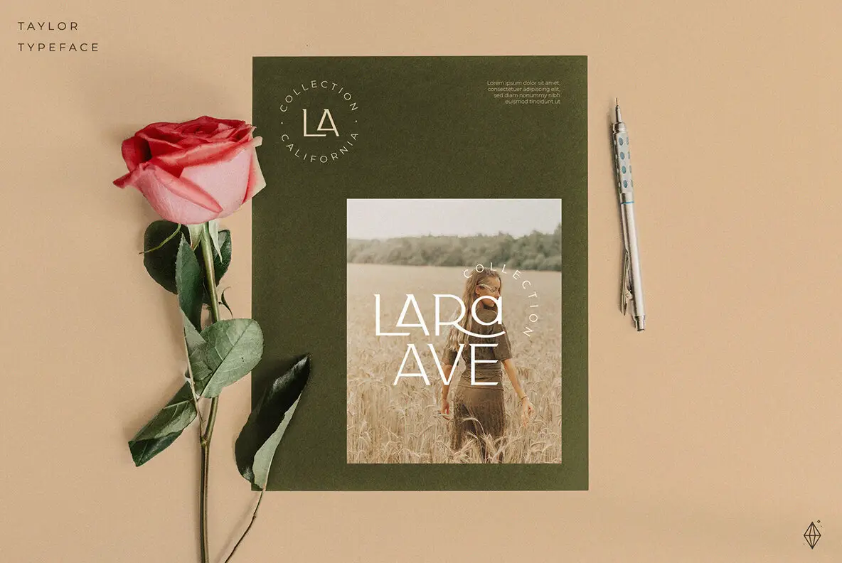 Taylor Typeface Font - YouWorkForThem