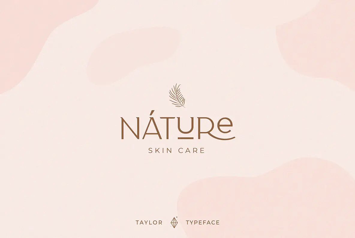 Taylor Typeface Font - YouWorkForThem