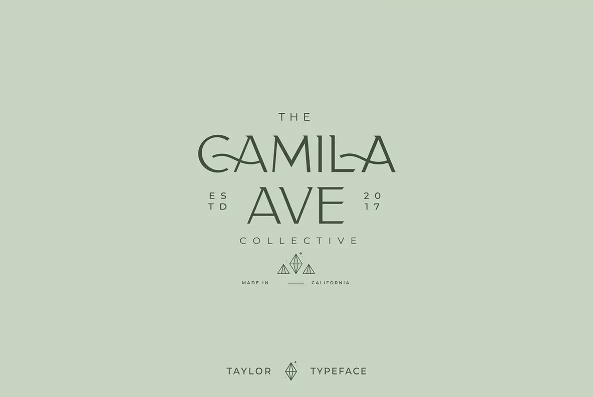 Taylor Typeface Font - YouWorkForThem