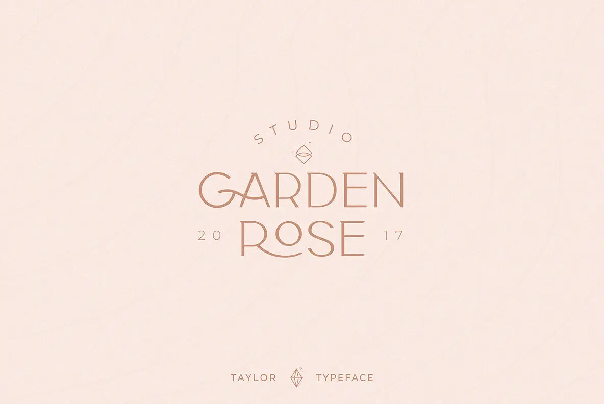 Taylor Typeface Font - YouWorkForThem