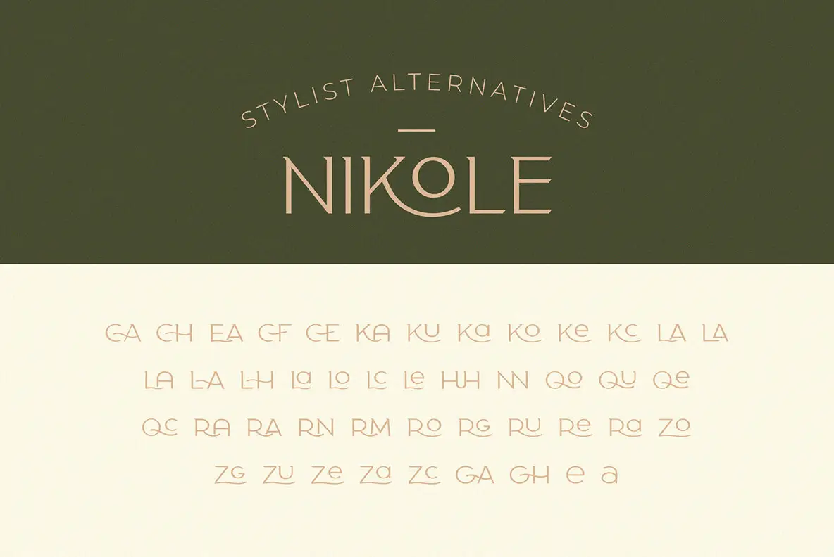 Taylor Typeface Font - YouWorkForThem