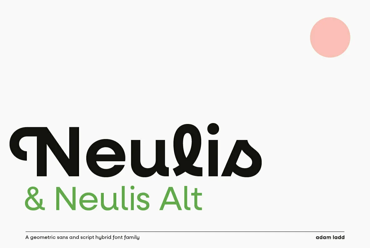 Neulis