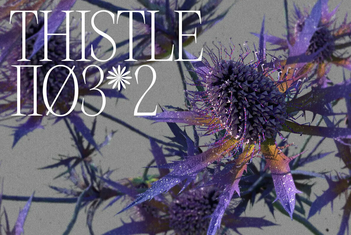 Thistle