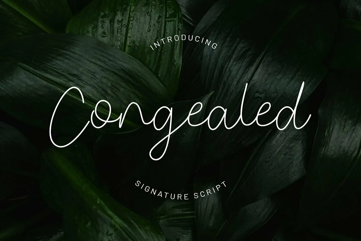 Congealed Signature