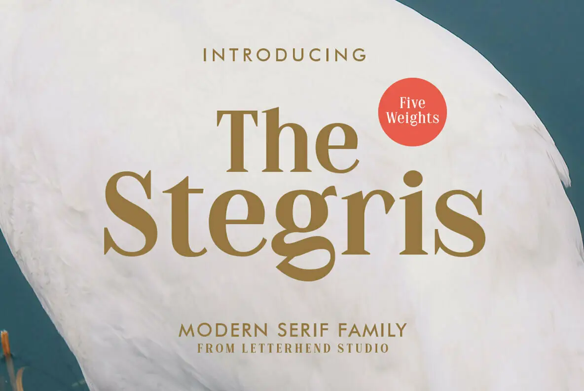 The Stegris