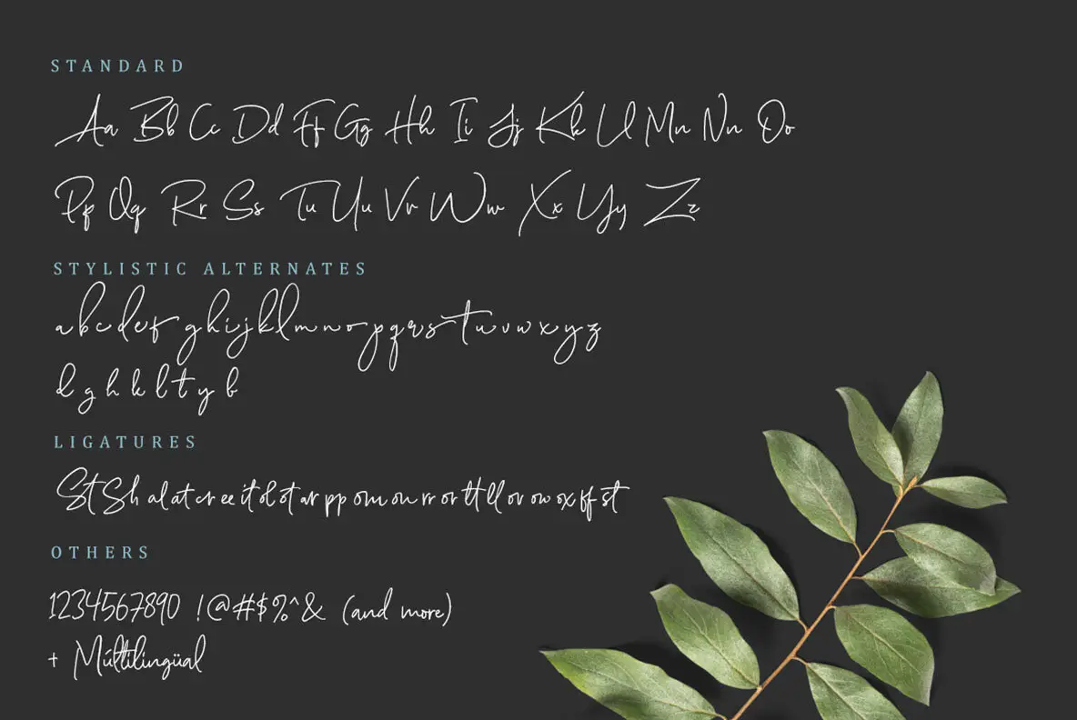Scarlette Font - FontPath