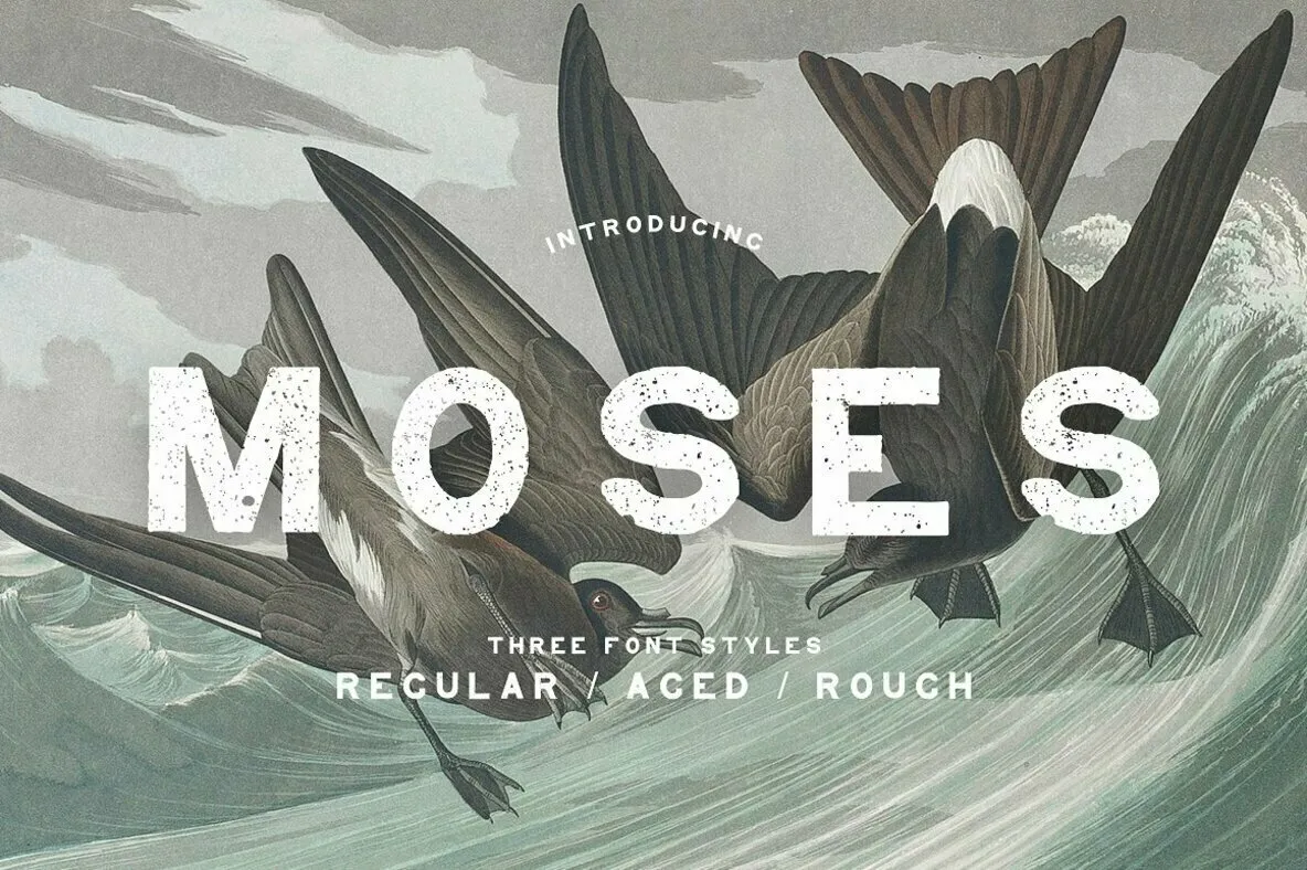 Moses