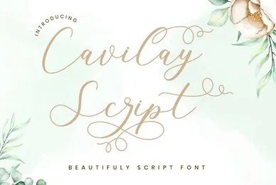 Cavilay Script