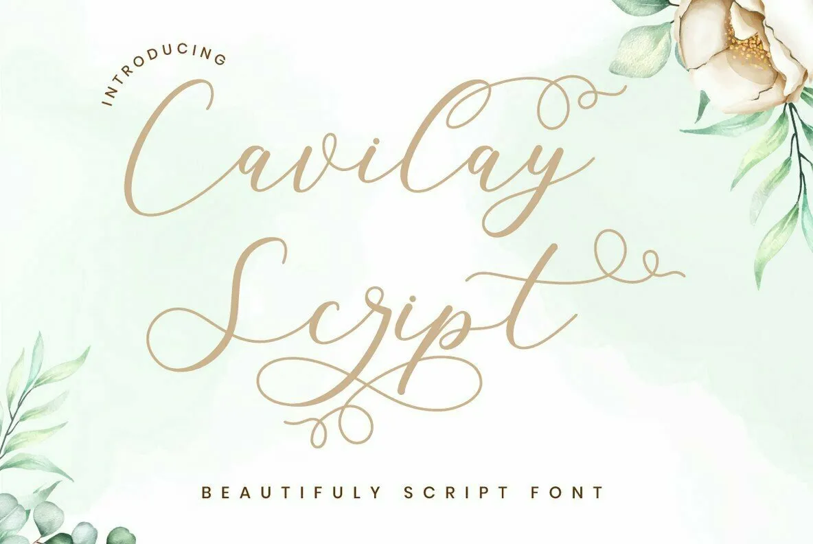 Cavilay Script