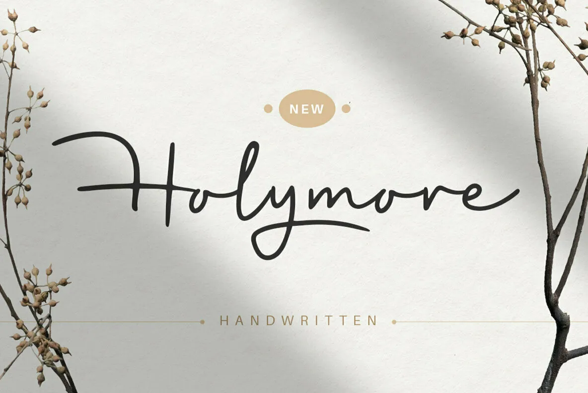 Holymore