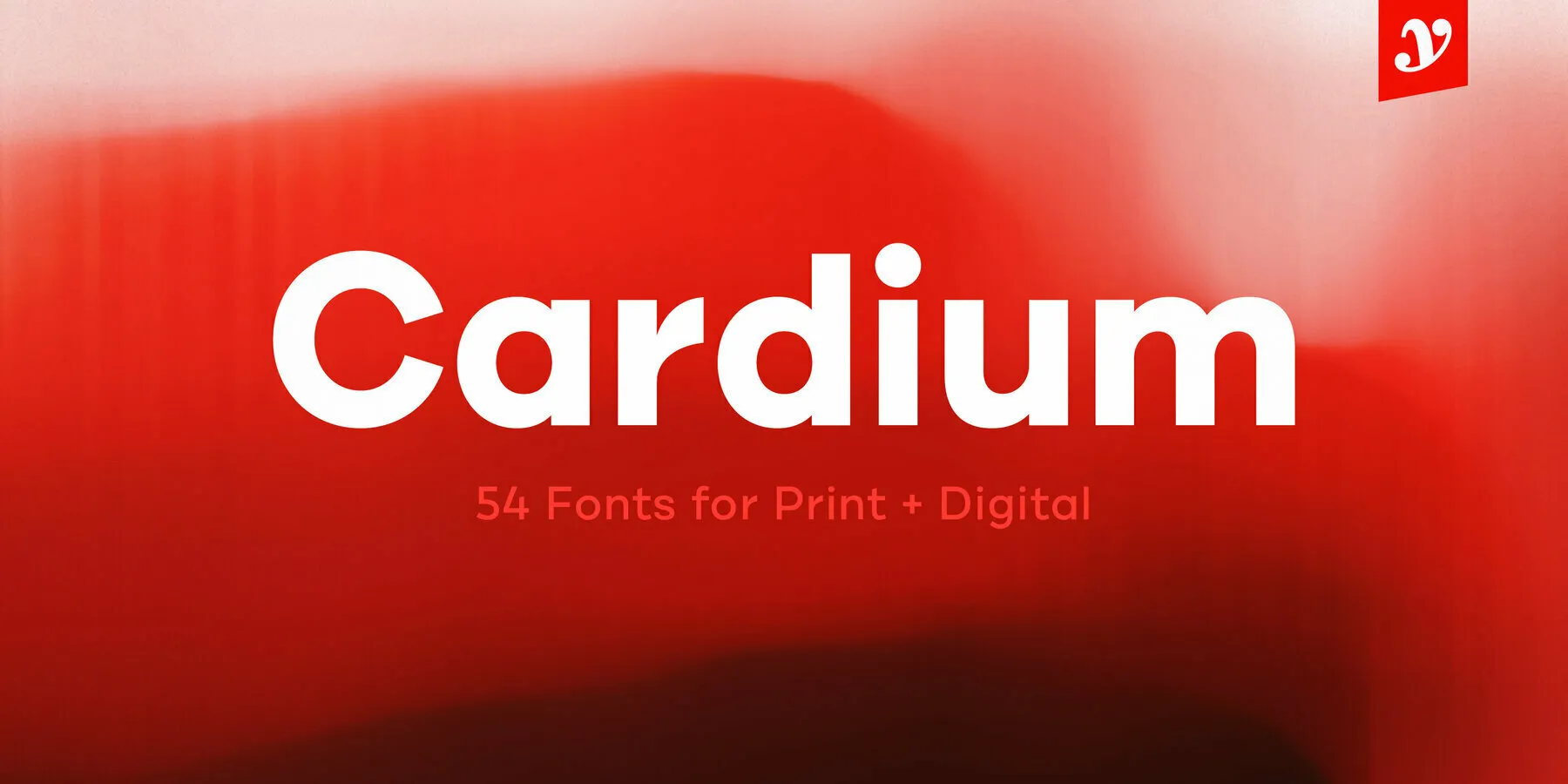 Cardium