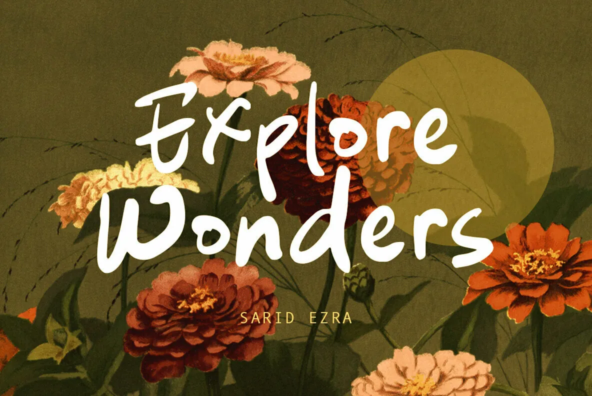 Explore Wonders