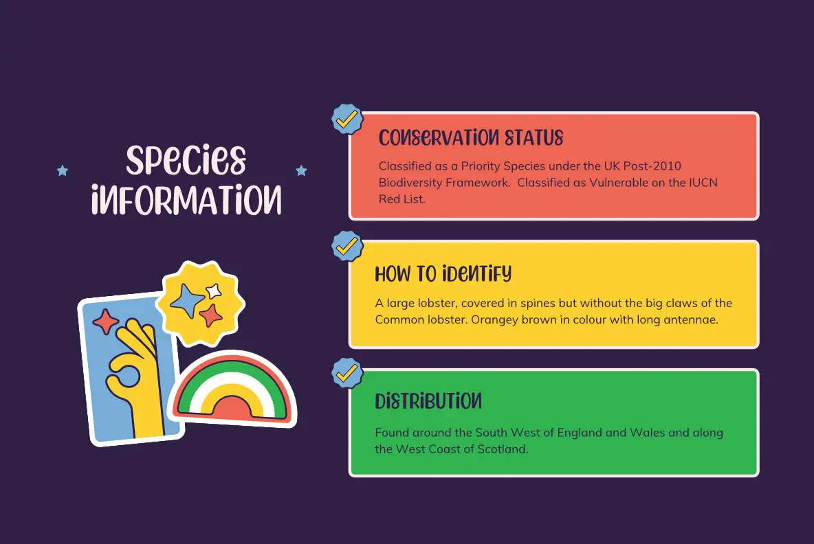 Spiny Lobster Font YouWorkForThem