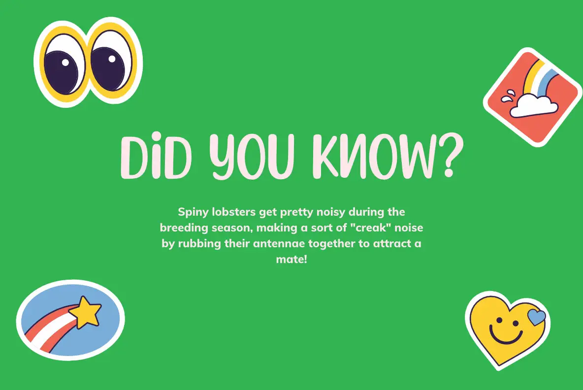 Spiny Lobster Font YouWorkForThem