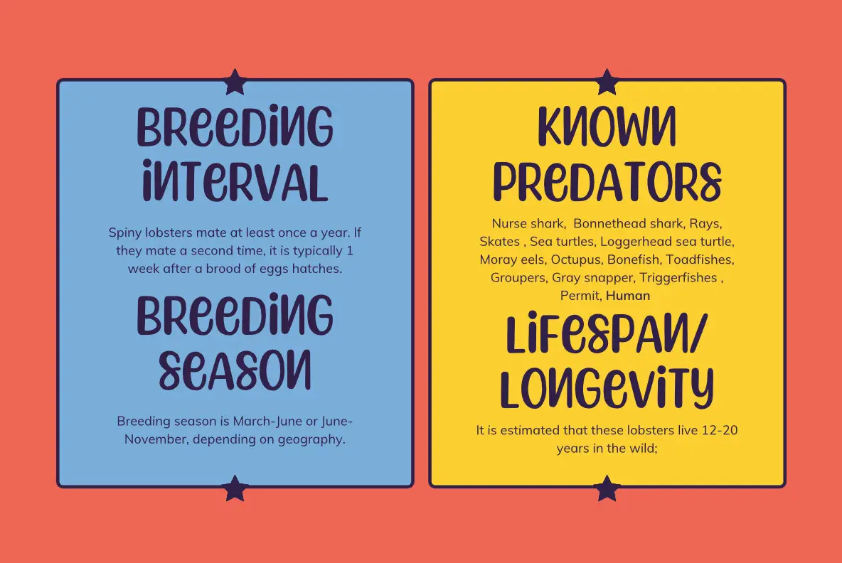 Spiny Lobster Font YouWorkForThem