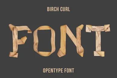 Birch Curl SVG
