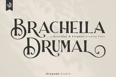 Brachella Drumal