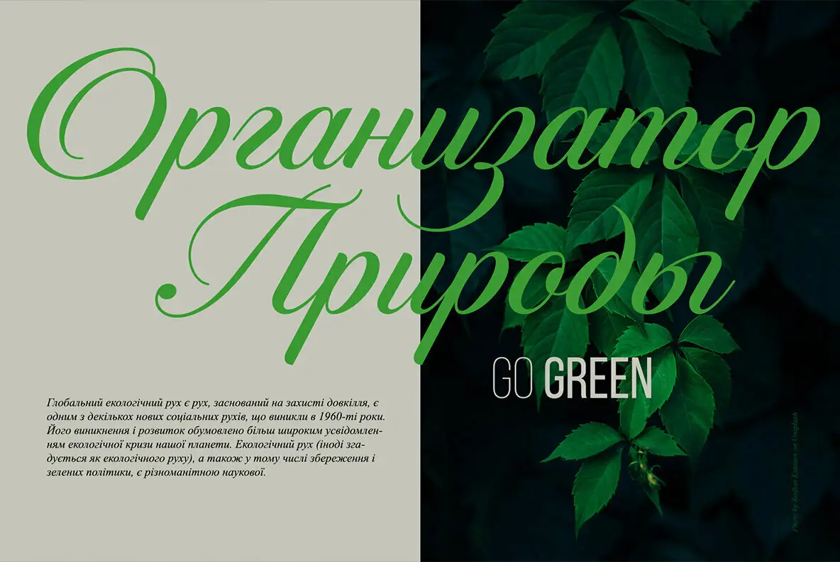 Candlescript Neue Basic Font - FontPath