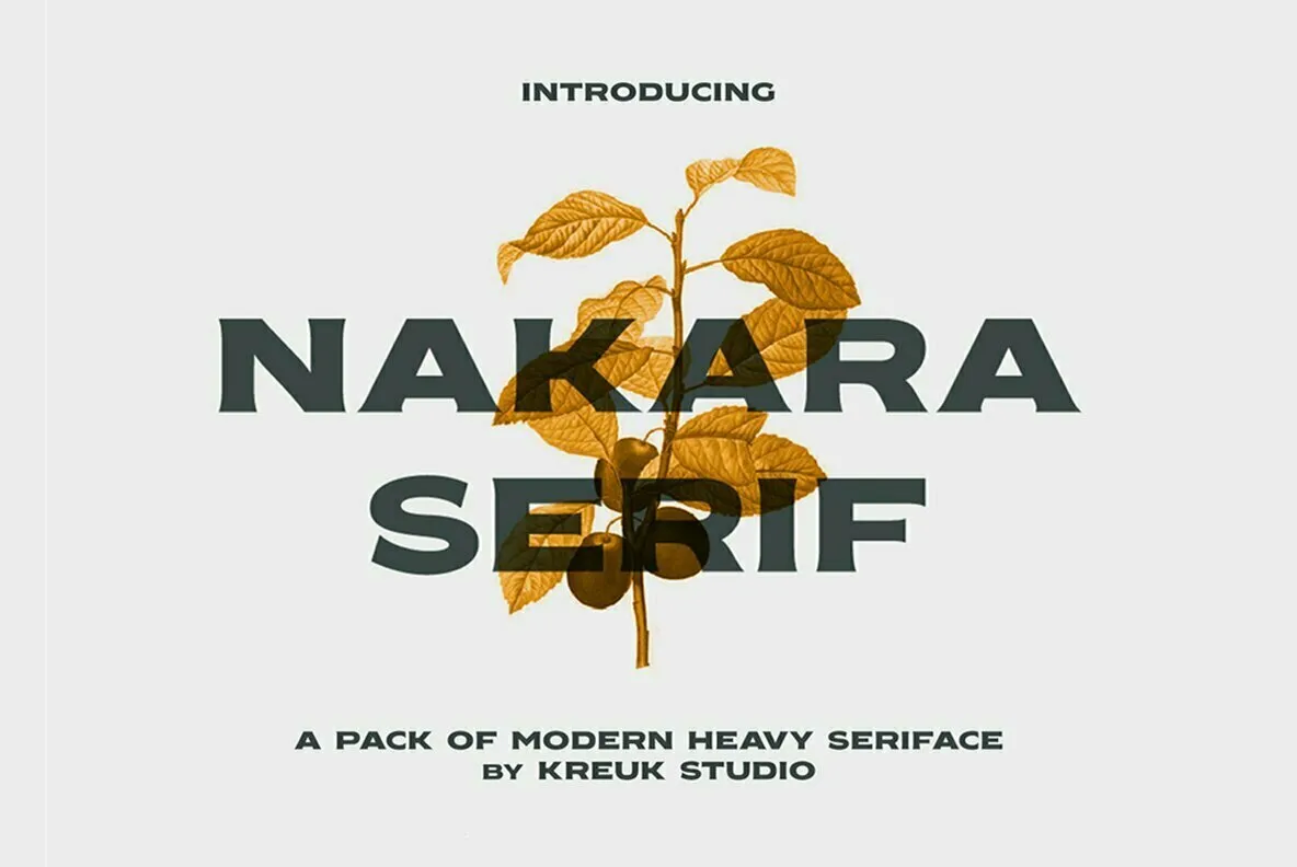Nakara Serif