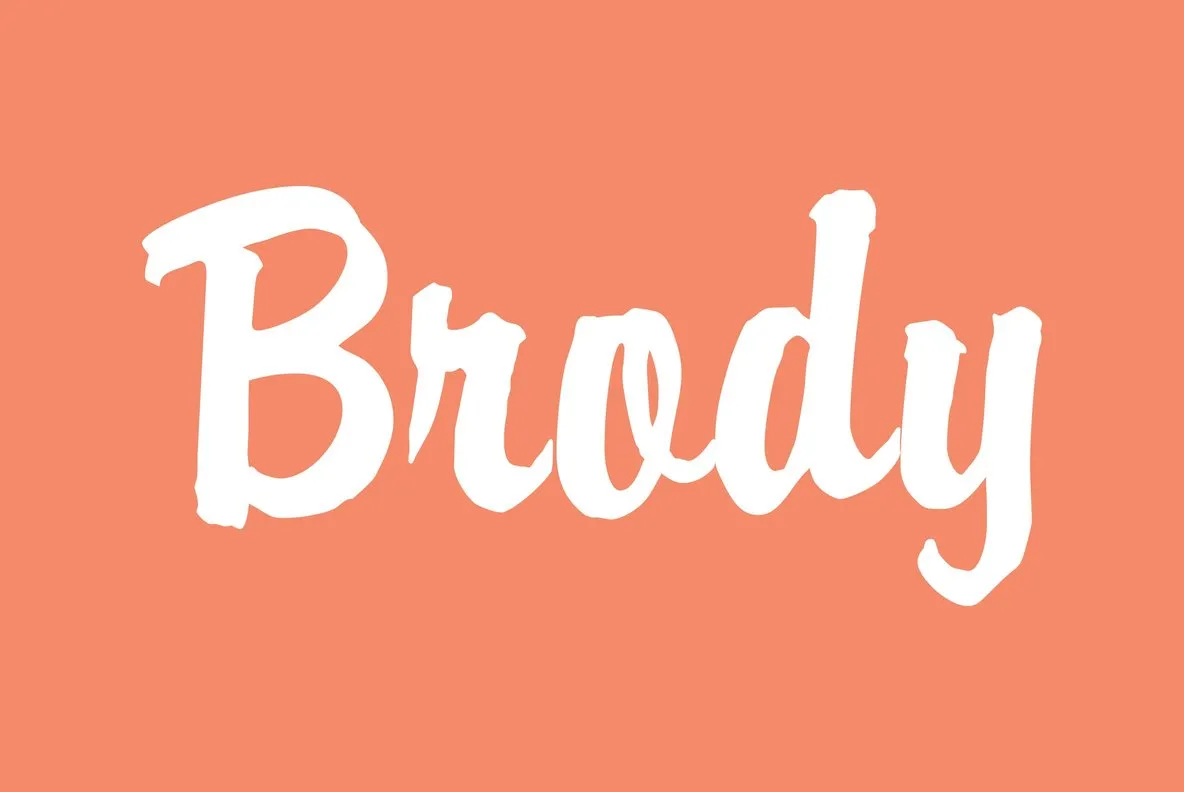 Brody Font YouWorkForThem