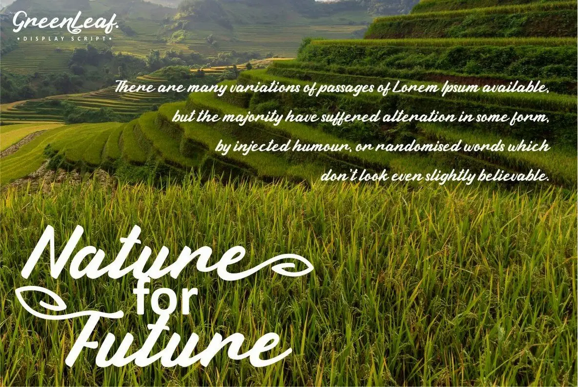 Green Leaf Font - FontPath