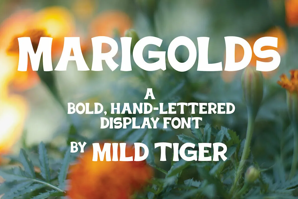 Marigolds