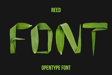 Reed SVG Font