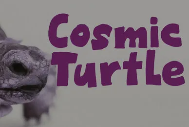 Cosmic Turtle