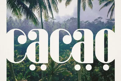 Beach Fonts  Ride The Tide Of Chill Vibes In Lettering Collection