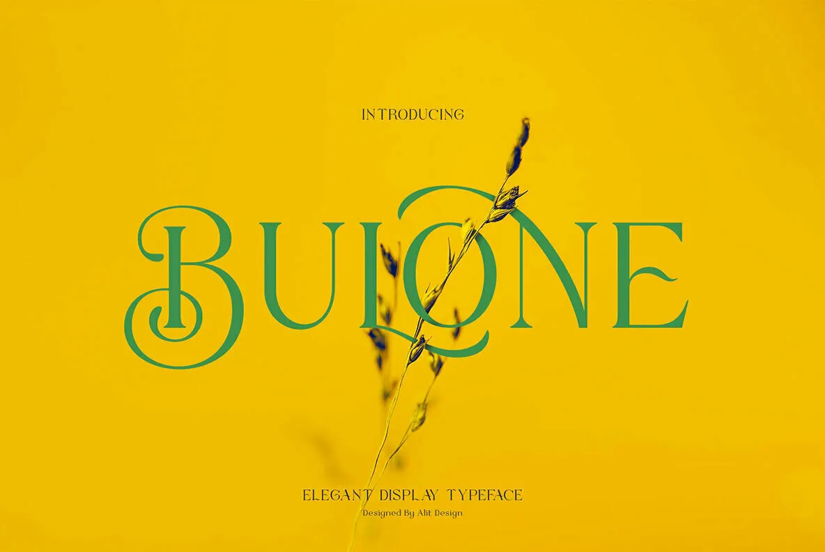 Bulone