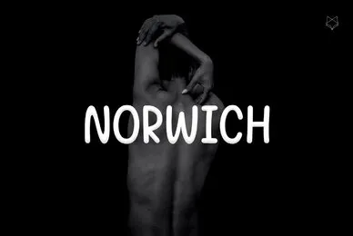 Norwich Typeface