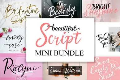 Beautiful Script Fonts Mini Bundle