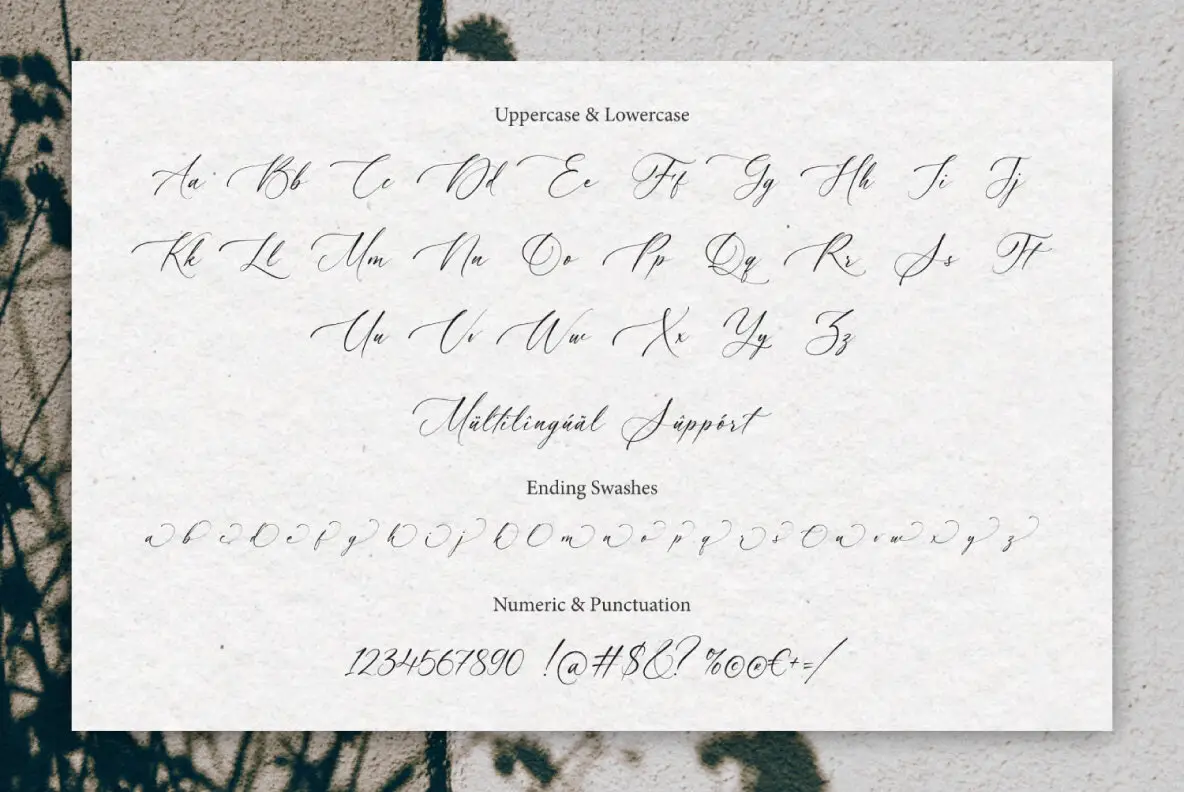 Adoretta Font - YouWorkForThem