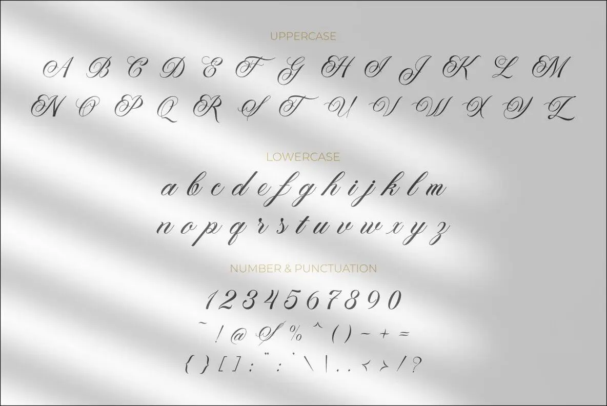 Word Light Script Paperlight Script Font - Fontpath