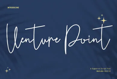 Venture Point