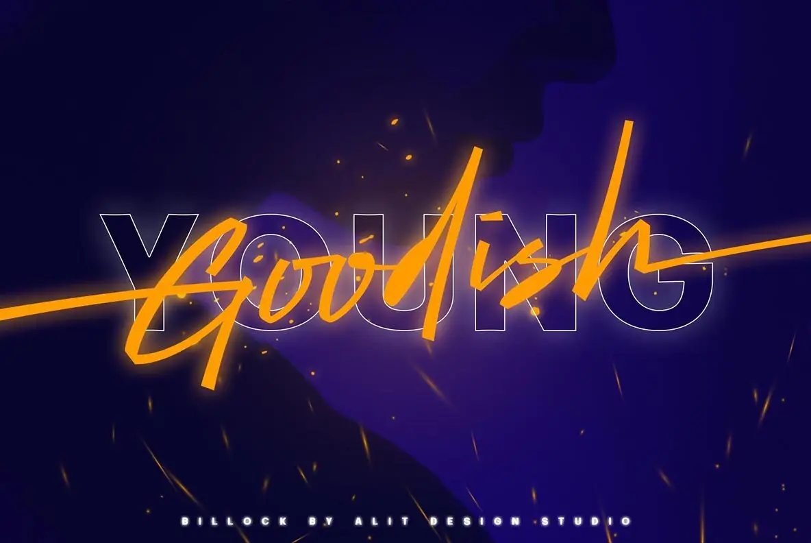 Billock Script font - YouWorkForThem