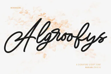 Algroofys